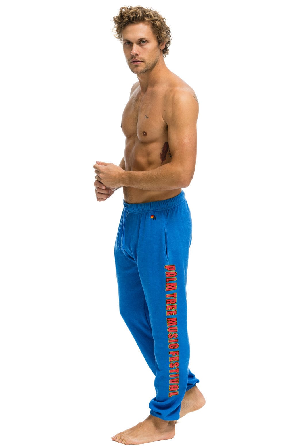 PALM TREE FEST NAPA 2025 UNISEX SWEATPANTS - ADVENTURE BLUE - Image 2