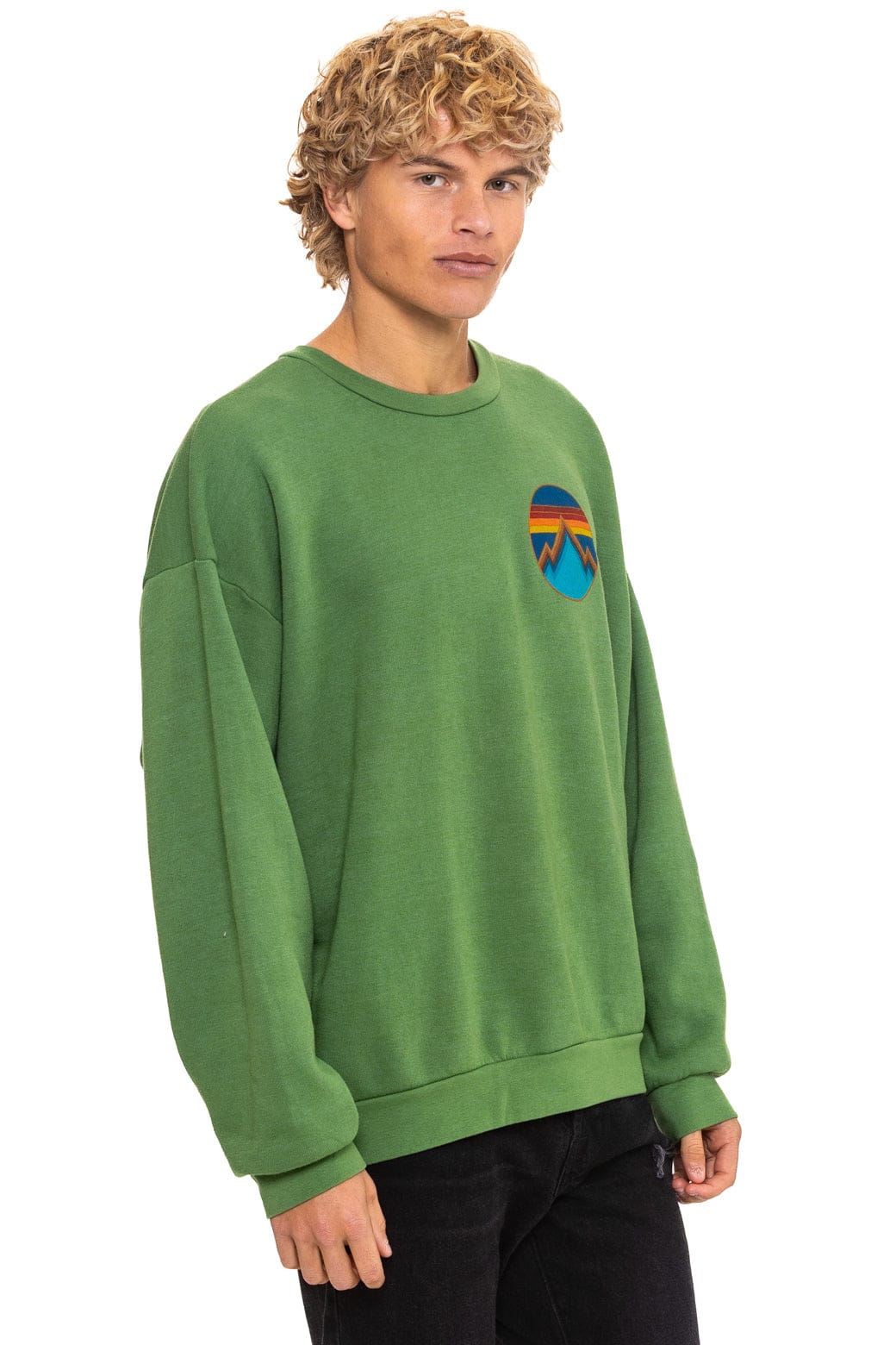 ALL SEASONS CIRCLE RELAXED CREW SWEATSHIRT - PALM - Image 6